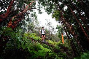 BIB: 
                            <button type="button" onclick="openModal(26202576)" class="btn btn-primary btn-sm float-right btn-popup" data-toggle="modal" data-target=".modal-high-quality">
                        <i class="fas fa-shopping-cart"></i> Add to Cart
                    </button>
                                            <button type="button" onclick="isThisMe(26202576, true)" class="btn btn-success btn-sm float-right btn-popup btn-isme hidden" data-toggle="tooltip" data-placement="bottom" title="นี่คือรูปของคุณใช่ไหม คลิกที่นี่เพื่อเอาเข้าอัลบั้ม">
                        <i class="fas fa-plus"></i> Add to album
                    </button>
                    <button type="button" onclick="isThisMe(26202576, false)" class="btn btn-warning btn-sm float-right btn-popup btn-isnotme hidden">
                        <i class="fas fa-ban"></i> Remove from album
                    </button>